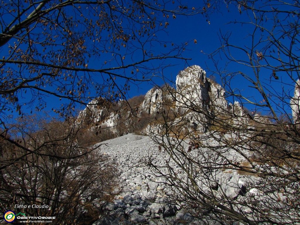 02 Entriamo nel bosco.JPG